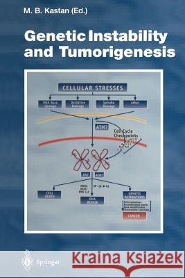 Genetic Instability and Tumorigenesis Michael B. Kastan 9783642644344 Springer - książka
