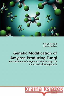 Genetic Modification of Amylase Producing Fungi Sobiya Shafique Shazia Shafique 9783639325447 VDM Verlag - książka