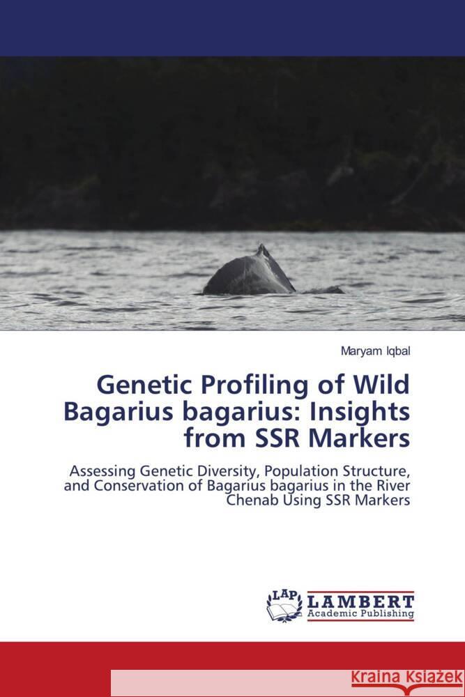 Genetic Profiling of Wild Bagarius bagarius: Insights from SSR Markers Iqbal, Maryam 9786208425395 LAP Lambert Academic Publishing - książka