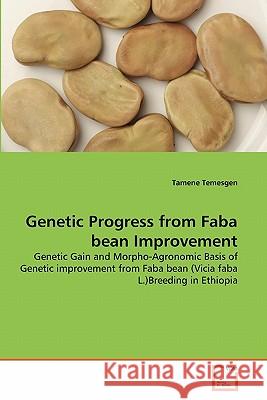 Genetic Progress from Faba bean Improvement Tamene Temesgen 9783639346411 VDM Verlag - książka
