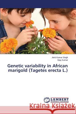 Genetic variability in African marigold (Tagetes erecta L.) Singh Amit Kumar 9783659518089 LAP Lambert Academic Publishing - książka