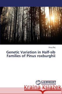 Genetic Variation in Half-sib Families of Pinus roxburghii Raj Anup 9783659360602 LAP Lambert Academic Publishing - książka
