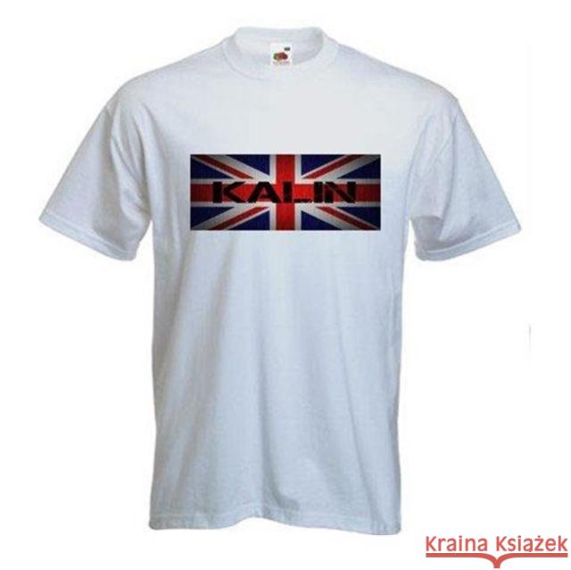 Genetically Engineered Protein Nanomaterials Urartu Ozgur Şafak Şeker 9789811048937 Springer - książka