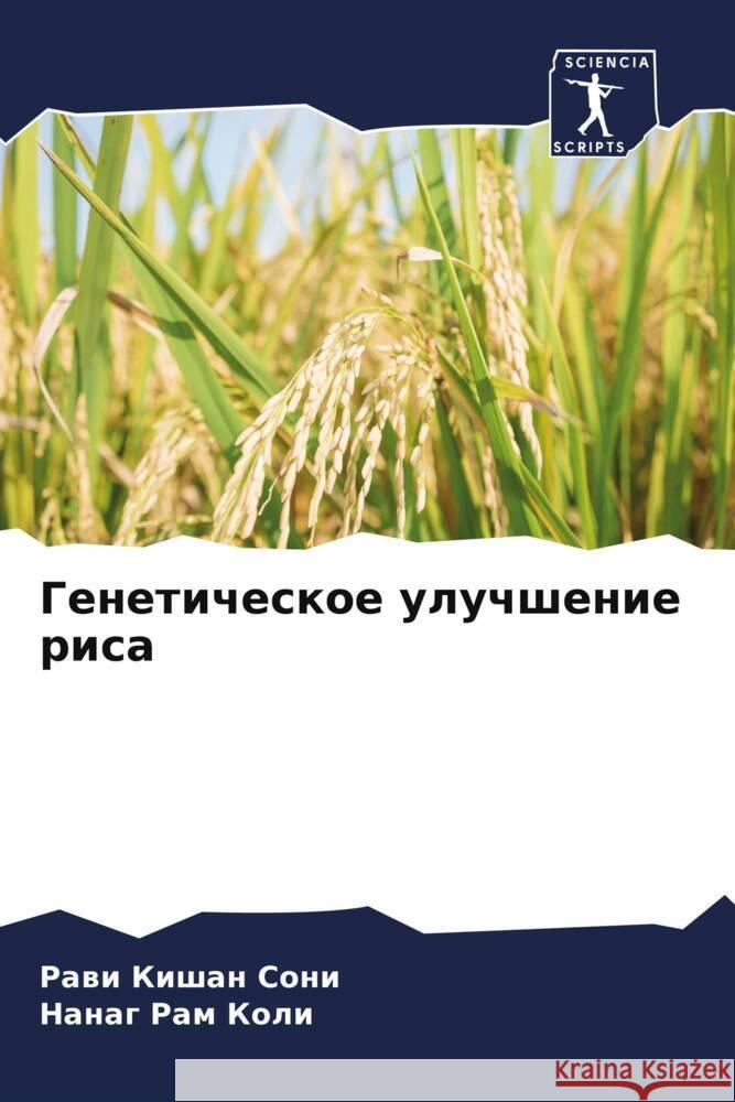 Geneticheskoe uluchshenie risa Soni, Rawi Kishan, Koli, Nanag Ram 9786205018835 Sciencia Scripts - książka