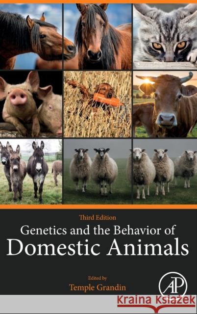 Genetics and the Behavior of Domestic Animals Temple Grandin 9780323857529 Elsevier Science & Technology - książka