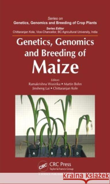 Genetics, Genomics and Breeding of Maize Ramakrishna Wusirika Martin Bohn Jinsheng Lai 9781482228120 Taylor and Francis - książka