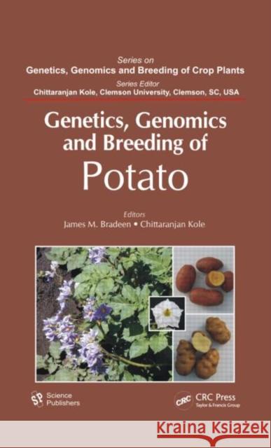 Genetics, Genomics and Breeding of Potato Bradeen, James M. 9781578087150  - książka