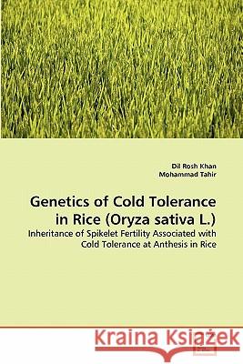 Genetics of Cold Tolerance in Rice (Oryza sativa L.) DIL Rosh Khan, Mohammad Tahir 9783639342260 VDM Verlag - książka