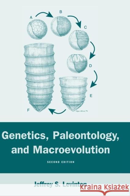 Genetics, Paleontology, and Macroevolution Jeffrey S. Levinton 9780521803175 Cambridge University Press - książka