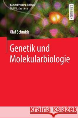 Genetik Und Molekularbiologie Lay, Martin 9783662502730 Springer Spektrum - książka