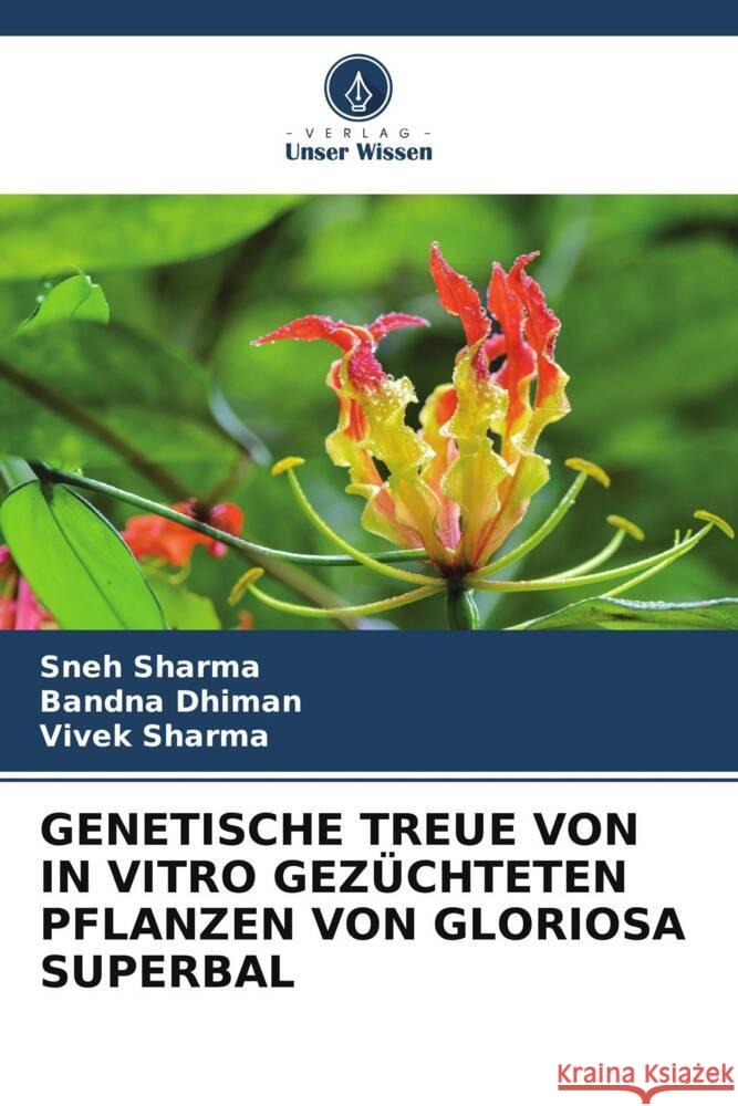 GENETISCHE TREUE VON IN VITRO GEZÜCHTETEN PFLANZEN VON GLORIOSA SUPERBAL Sharma, Sneh, Dhiman, Bandna, Sharma, Vivek 9786208379179 Verlag Unser Wissen - książka