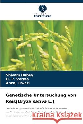 Genetische Untersuchung von Reis(Oryza sativa L.) Shivam Dubey, O P Verma, Ankaj Tiwari 9786204071466 Verlag Unser Wissen - książka