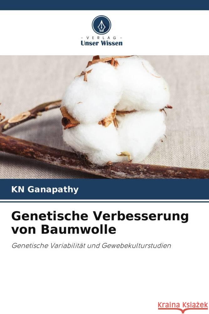 Genetische Verbesserung von Baumwolle Ganapathy, KN 9786206467748 Verlag Unser Wissen - książka