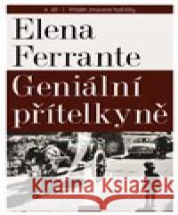 Geniální přítelkyně 4 - Příběh ztracené holčičky Elena Ferrante 9788072604432 Prostor - książka