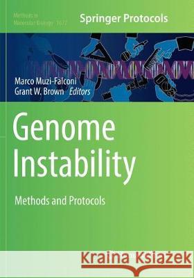 Genome Instability: Methods and Protocols Muzi-Falconi, Marco 9781493984473 Humana Press - książka