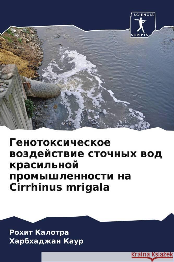 Genotoxicheskoe wozdejstwie stochnyh wod krasil'noj promyshlennosti na Cirrhinus mrigala Kalotra, Rohit, Kaur, Harbhadzhan 9786208353612 Sciencia Scripts - książka