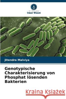 Genotypische Charakterisierung von Phosphat lösenden Bakterien Jitendra Malviya 9786205347683 Verlag Unser Wissen - książka