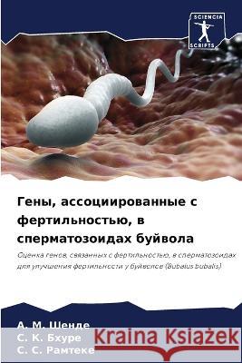 Geny, associirowannye s fertil'nost'ü, w spermatozoidah bujwola Shende, A. M., Bhure, S. K., Ramteke, S. S. 9786205927120 Sciencia Scripts - książka