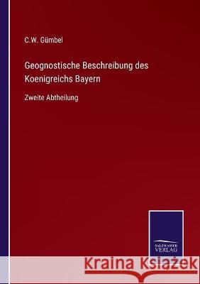 Geognostische Beschreibung des Koenigreichs Bayern: Zweite Abtheilung C W Gümbel 9783375051983 Salzwasser-Verlag - książka