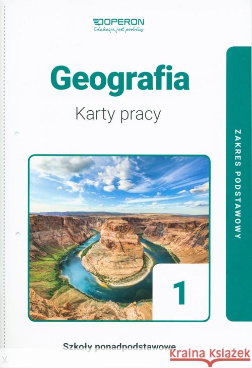 Geografia LO 1 KP ZP w.2019 Ziarniowska Małgorzata 9788366365261 Operon - książka