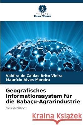 Geografisches Informationssystem für die Babaçu-Agrarindustrie de Caldas Brito Vieira, Valdira, Alves Moreira, Maurício 9786200743022 Verlag Unser Wissen - książka