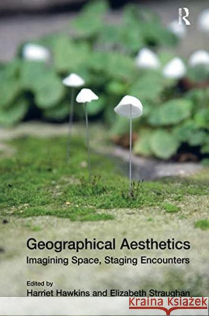 Geographical Aesthetics: Imagining Space, Staging Encounters Elizabeth Straughan Harriet Hawkins 9781138546929 Routledge - książka