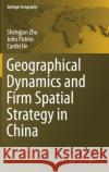 Geographical Dynamics and Firm Spatial Strategy in China Shengjun Zhu John Pickles Canfei He 9783662535998 Springer