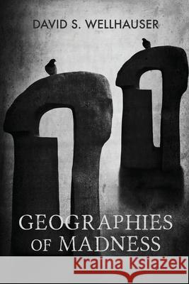 Geographies of Madness David S Wellhauser 9798587499201 Independently Published - książka