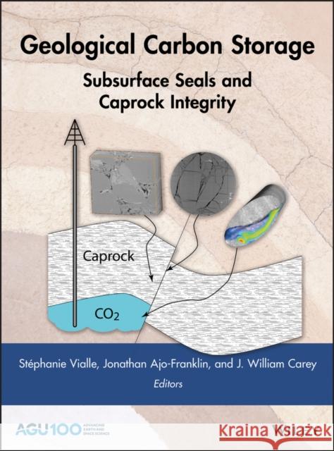 Geological Carbon Storage: Subsurface Seals and Caprock Integrity Vialle, Stéphanie; Ajo–Franklin, Jonathan; Carey, J. William 9781119118640 John Wiley & Sons - książka