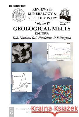 Geological Melts Daniel R. Neuville, Donald B. Dingwell, Grant S. Henderson 9781946850089 De Gruyter (JL) - książka