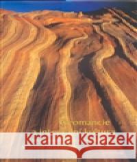 Geomancie a integrální kultura kol. 9788086685854 DharmaGaia - książka