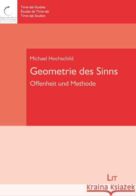 Geometrie des Sinns Hochschild, Michael 9783643916983 LIT Verlag - książka