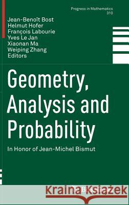 Geometry, Analysis and Probability: In Honor of Jean-Michel Bismut Bost, Jean-Benoît 9783319496368 Birkhauser - książka