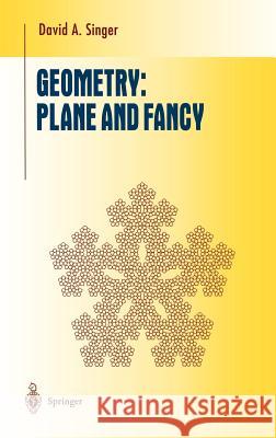 Geometry: Plane and Fancy David A. Singer 9780387983066 Springer - książka