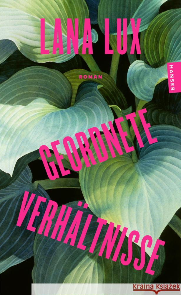 Geordnete Verhältnisse Lux, Lana 9783446286023 Hanser Taschenbuch - książka