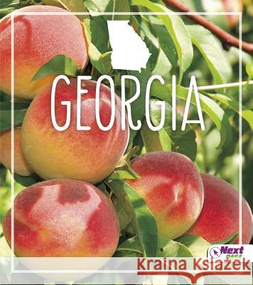 Georgia Jason Kirchner 9781515704560 Capstone Press - książka