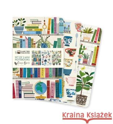Georgia Breeze Set of 3 Mini Notebooks  9781835629147 Flame Tree Publishing - książka