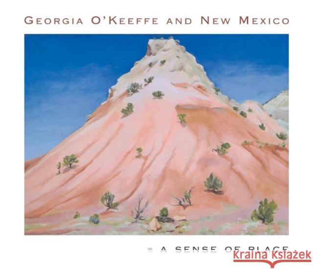 Georgia O'Keeffe and New Mexico: A Sense of Place Lynes, Barbara Buhler 9780691116594 Princeton University Press - książka