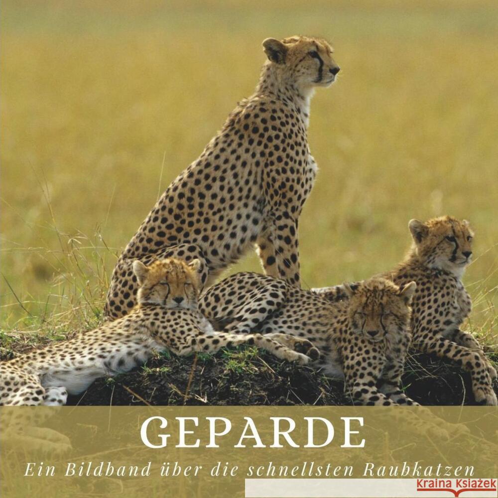 Geparde Hübsch, Bibi 9783750504547 27amigos - książka