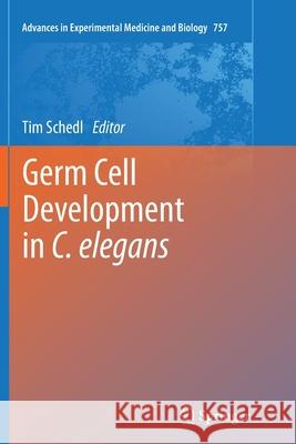Germ Cell Development in C. Elegans Schedl, Tim 9781489993533 Springer - książka