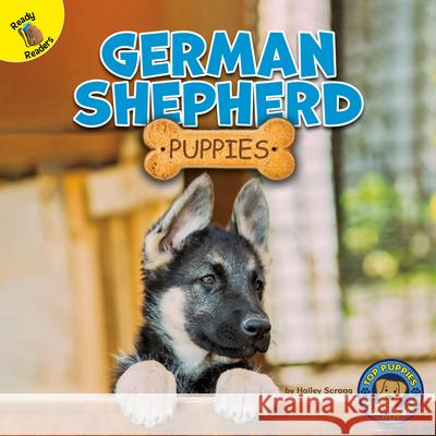 German Shepherd Puppies Hailey Scragg 9781731628695 Ready Readers - książka