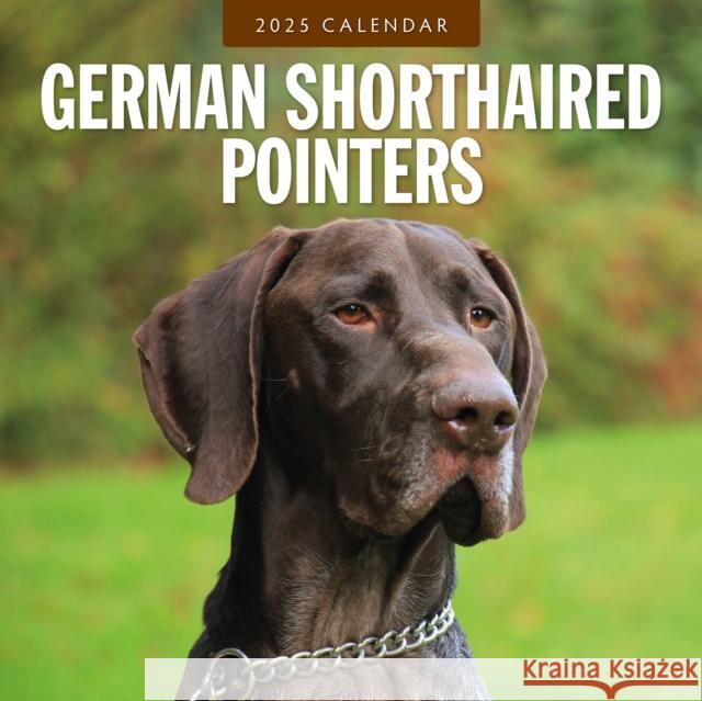 German Shorthaired Pointers 2025 Square Wall Calendar Red Robin 9781804424681 Red Robin Publishing Ltd. - książka