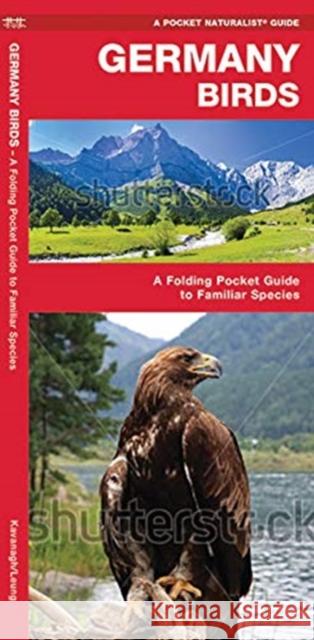 Germany Birds: A Folding Pocket Guide to Familiar Species  9781620053454 Waterford Press Ltd - książka