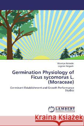 Germination Physiology of Ficus Sycomorus L. (Moraceae) Wondye Kebede, Legesse Negash 9783848421152 LAP Lambert Academic Publishing - książka