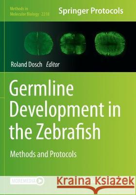 Germline Development in the Zebrafish: Methods and Protocols Dosch, Roland 9781071609729 Springer US - książka