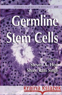 Germline Stem Cells Steven X. Hou Shree RAM Singh 9781603272131 Not Avail - książka