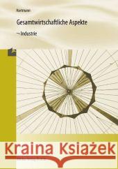 Gesamtwirtschaftliche Aspekte Industrie : Industrie. Ausgabe nach Rahmenlehrplan Hartmann, Gernot B.   9783812005227 Merkur - książka