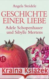 Geschichte einer Liebe: Adele Schopenhauer und Sibylle Mertens Steidele, Angela 9783458357315 Insel, Frankfurt - książka