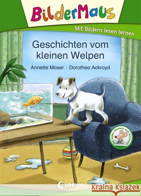 Geschichten vom kleinen Welpen : 1. Lesestufe Moser, Annette 9783785584224 Loewe Verlag - książka