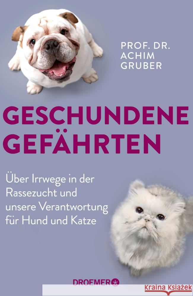 Geschundene Gefährten Gruber, Achim 9783426279083 Droemer/Knaur - książka